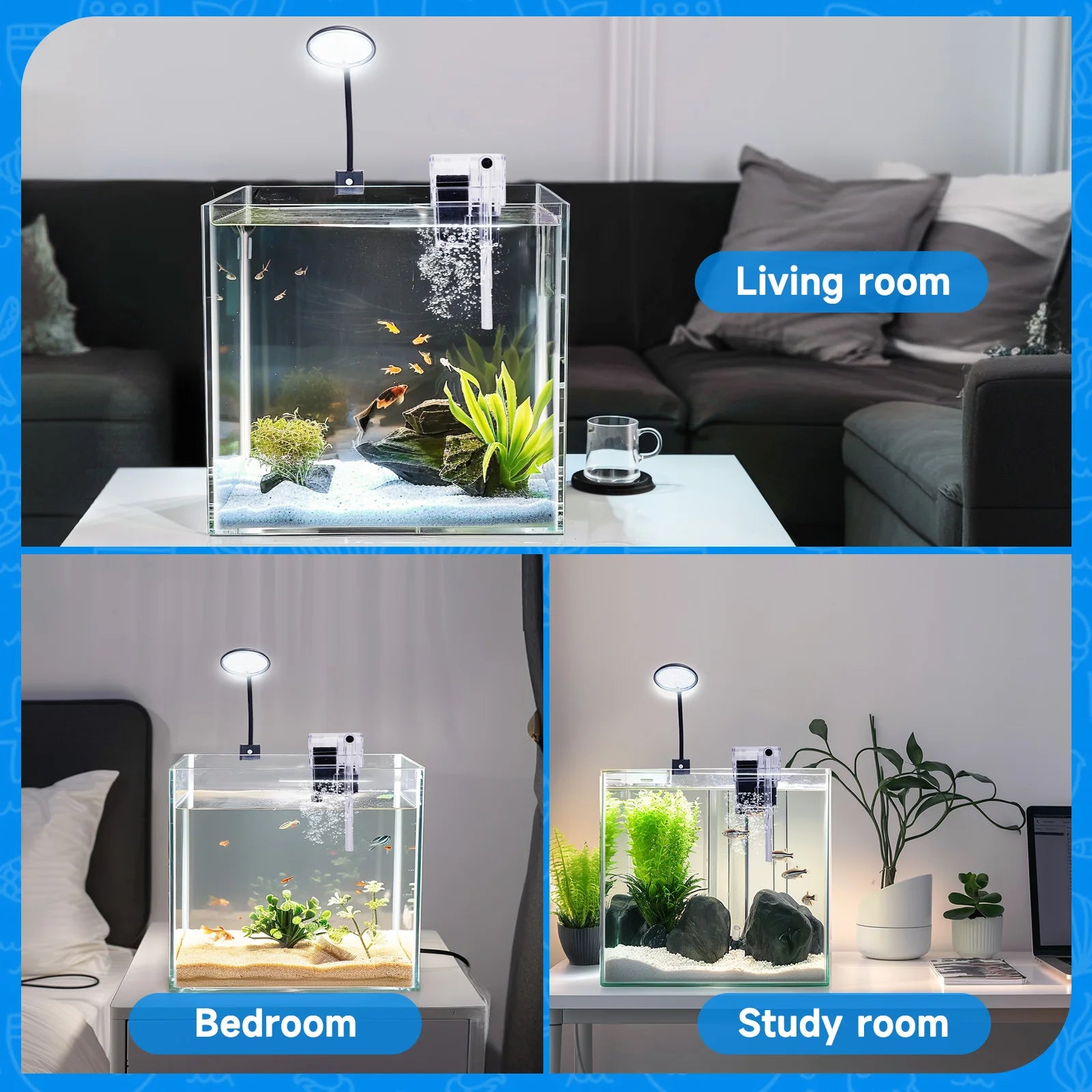 Complete Aquariums Tank