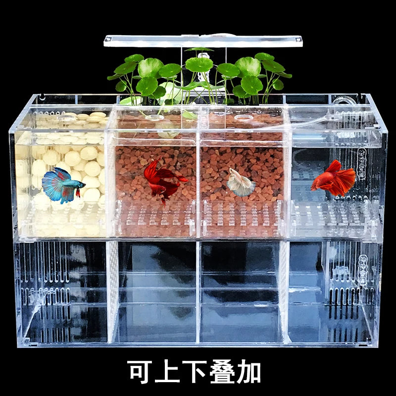Creative Betta Tank