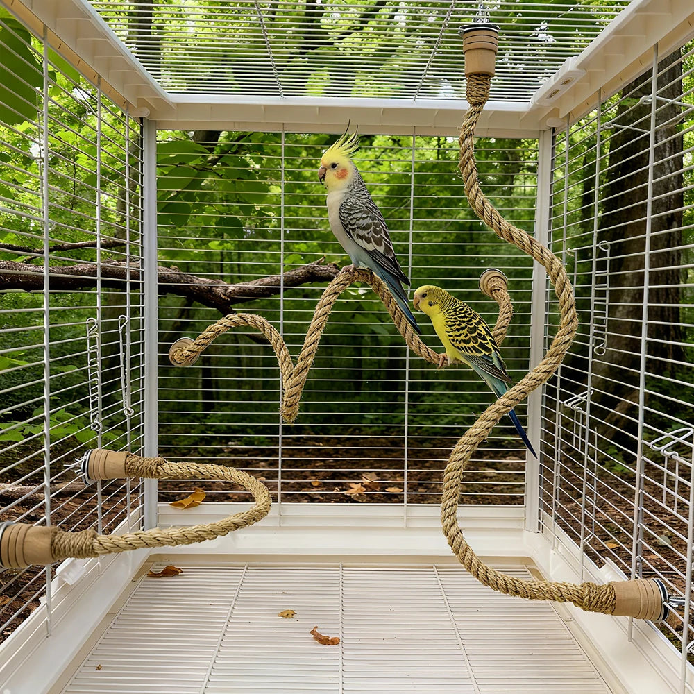 Bird Climbing Rope
