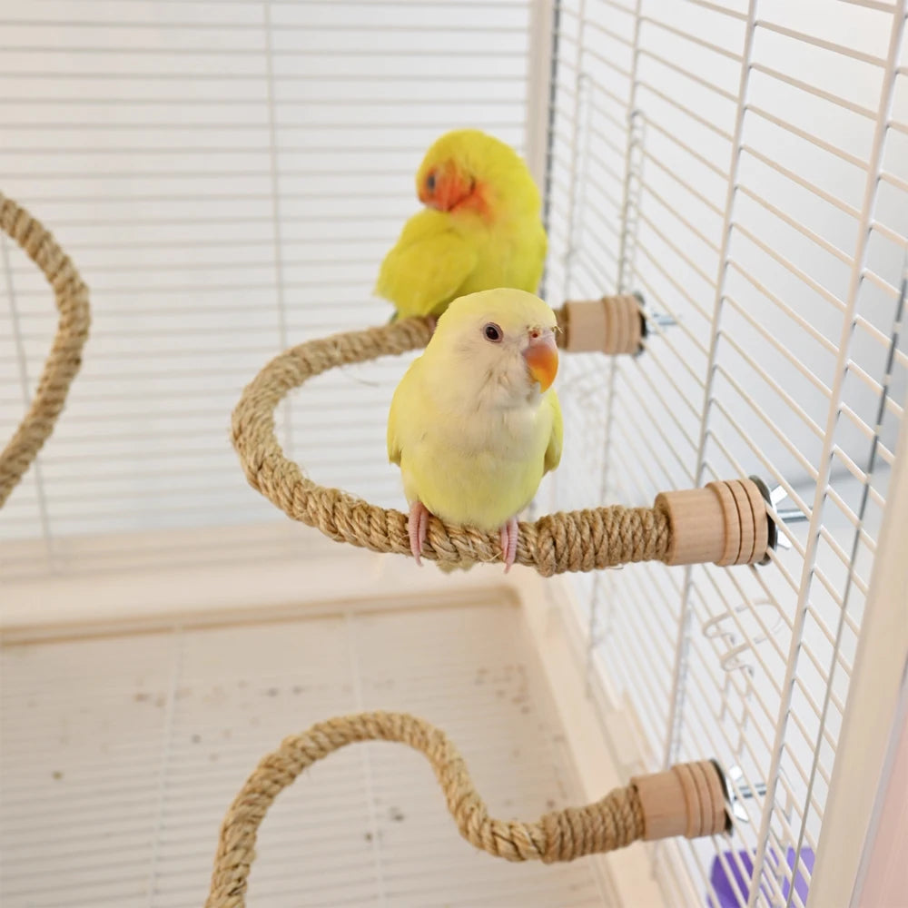 Bird Climbing Rope