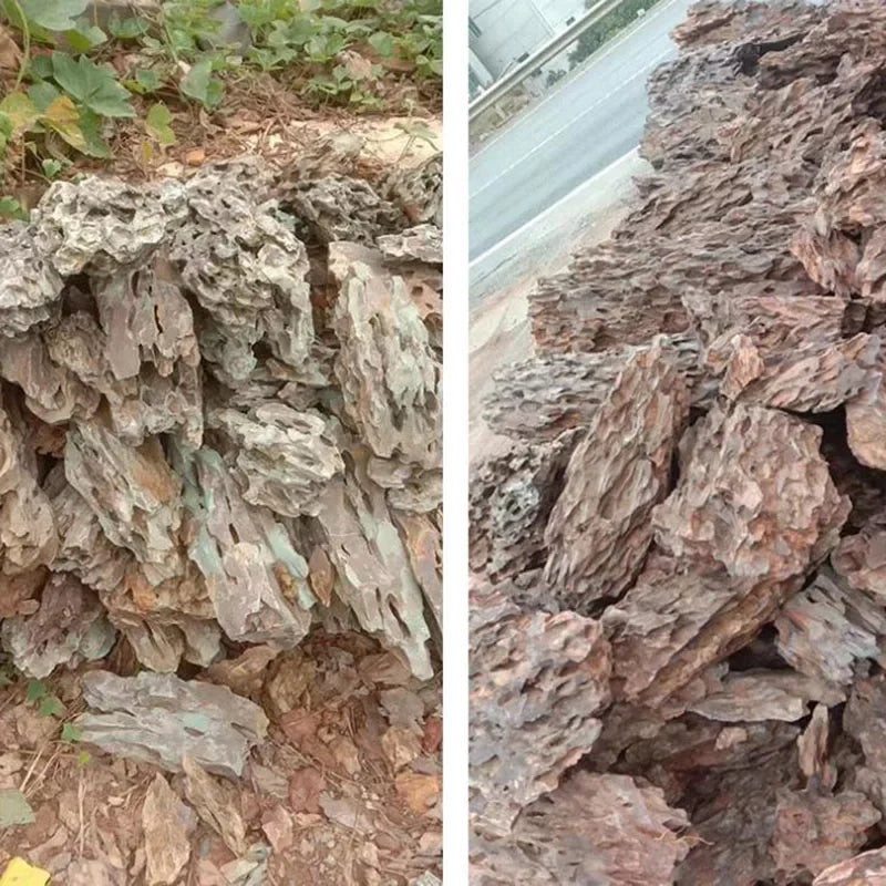 Natural Aquarium Decor