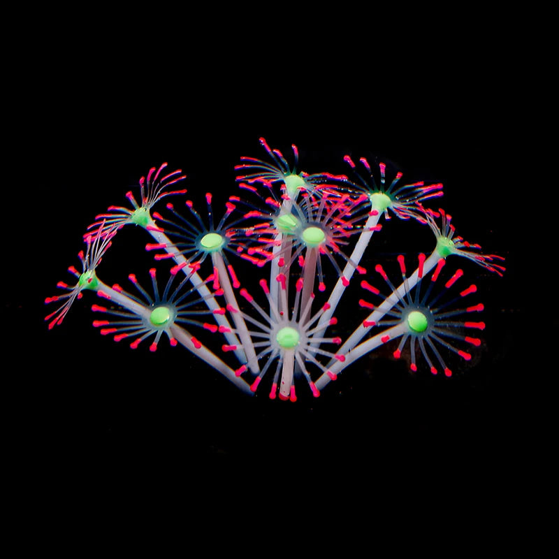 Simulation Coral Fish