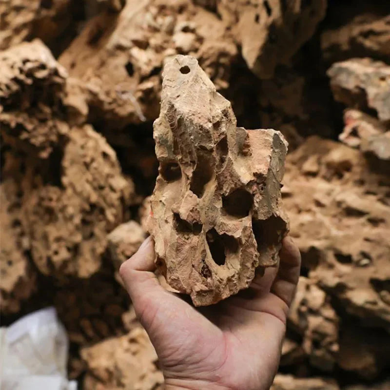 Natural Aquarium Decor