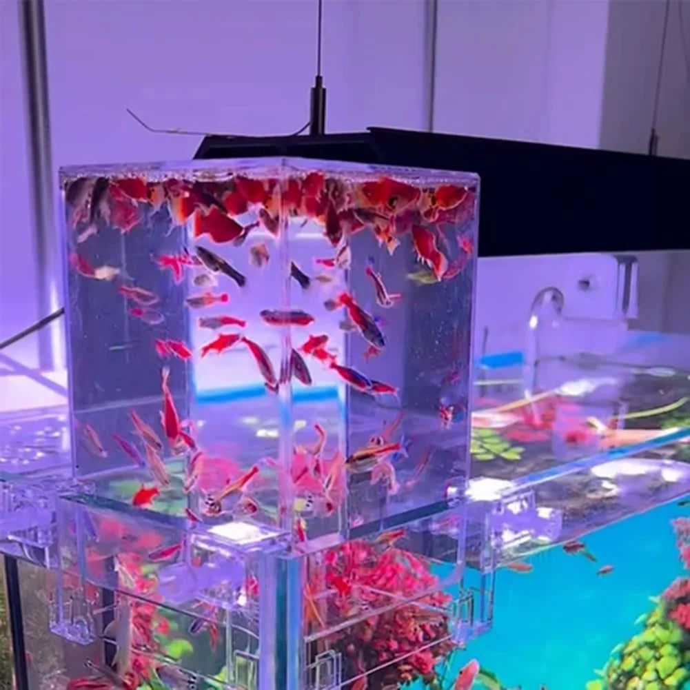 Aerial Aquarium Extender