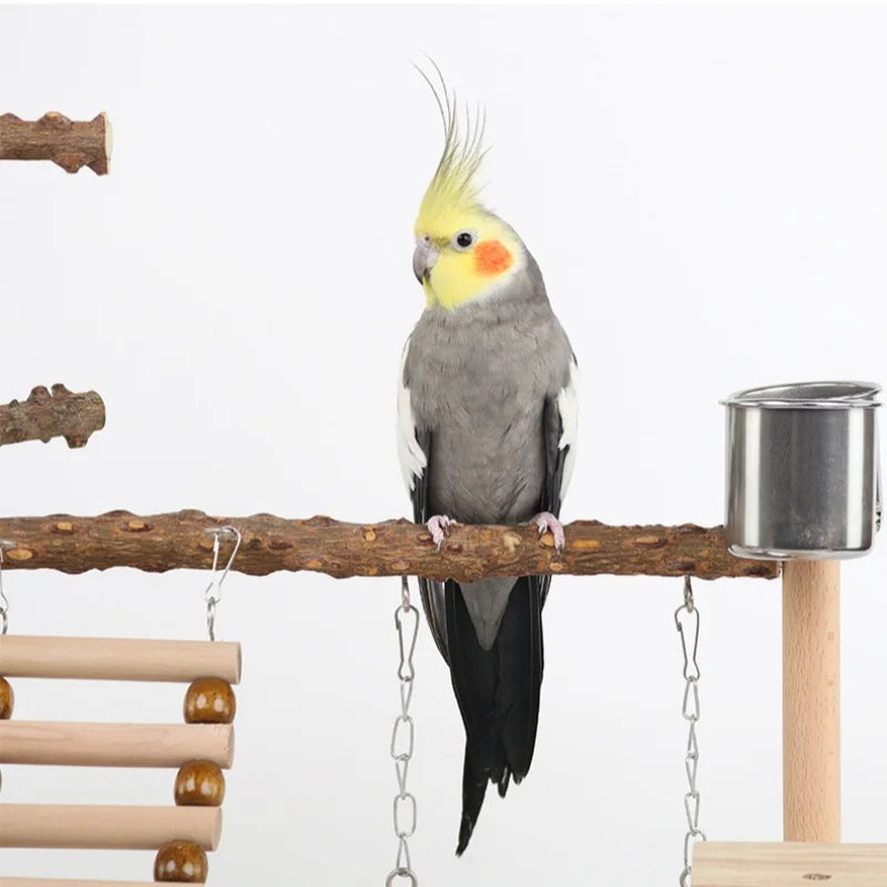 Wood Parrot Platform