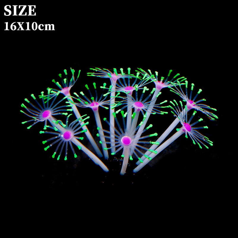 Simulation Coral Fish