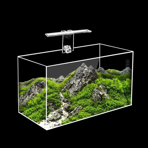 Acrylic Fish Tank