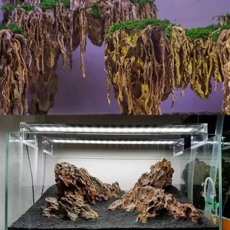 Natural Aquarium Decor