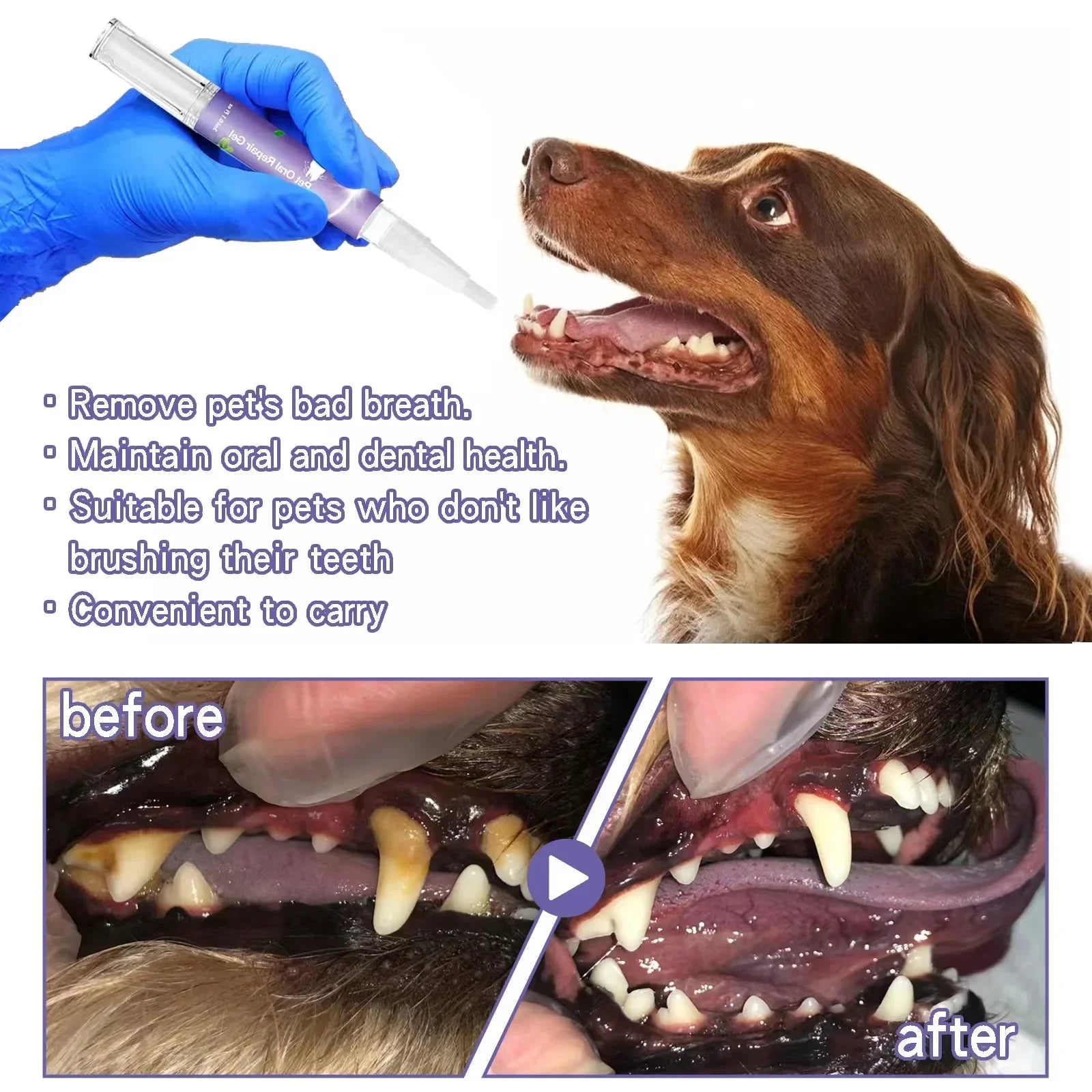 Pet teeth cleaner