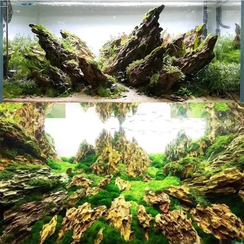 Natural Aquarium Decor
