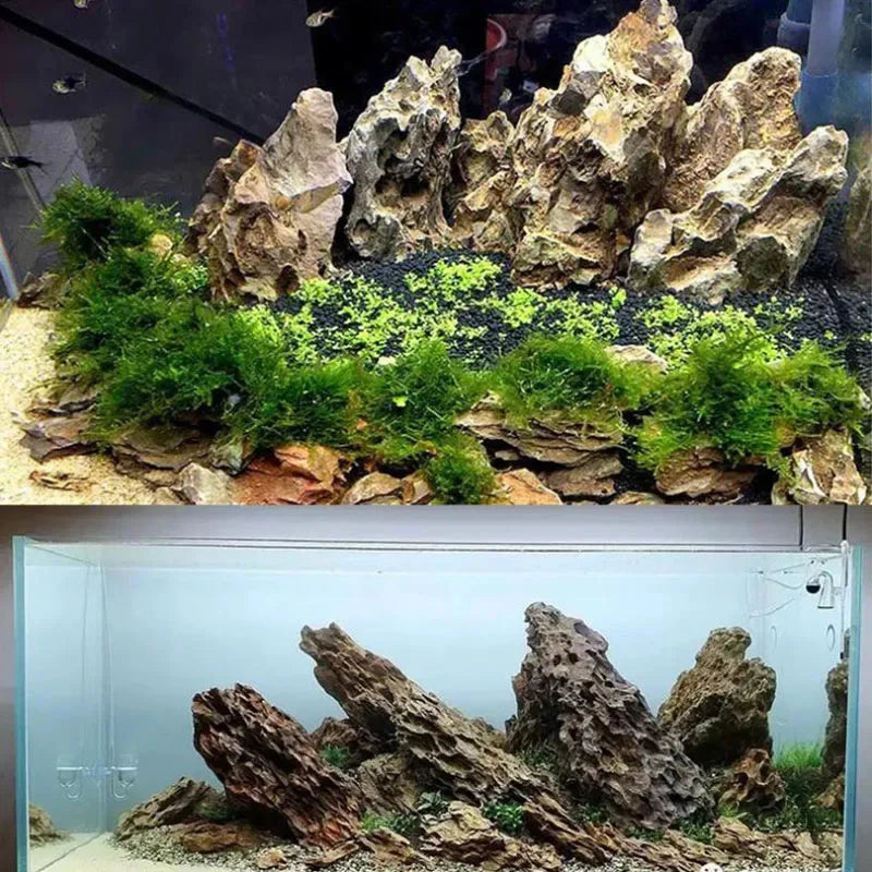 Natural Aquarium Decor