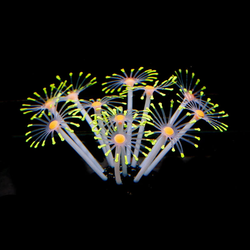 Simulation Coral Fish