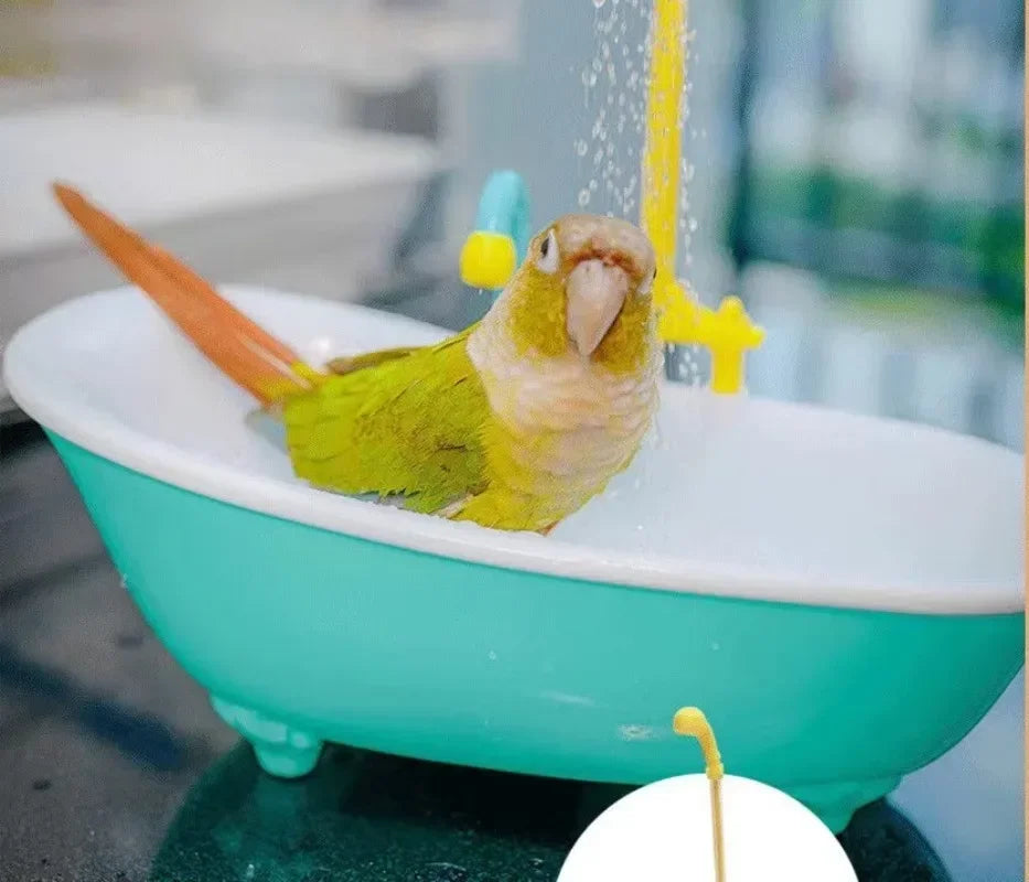 Shower Bird Bath