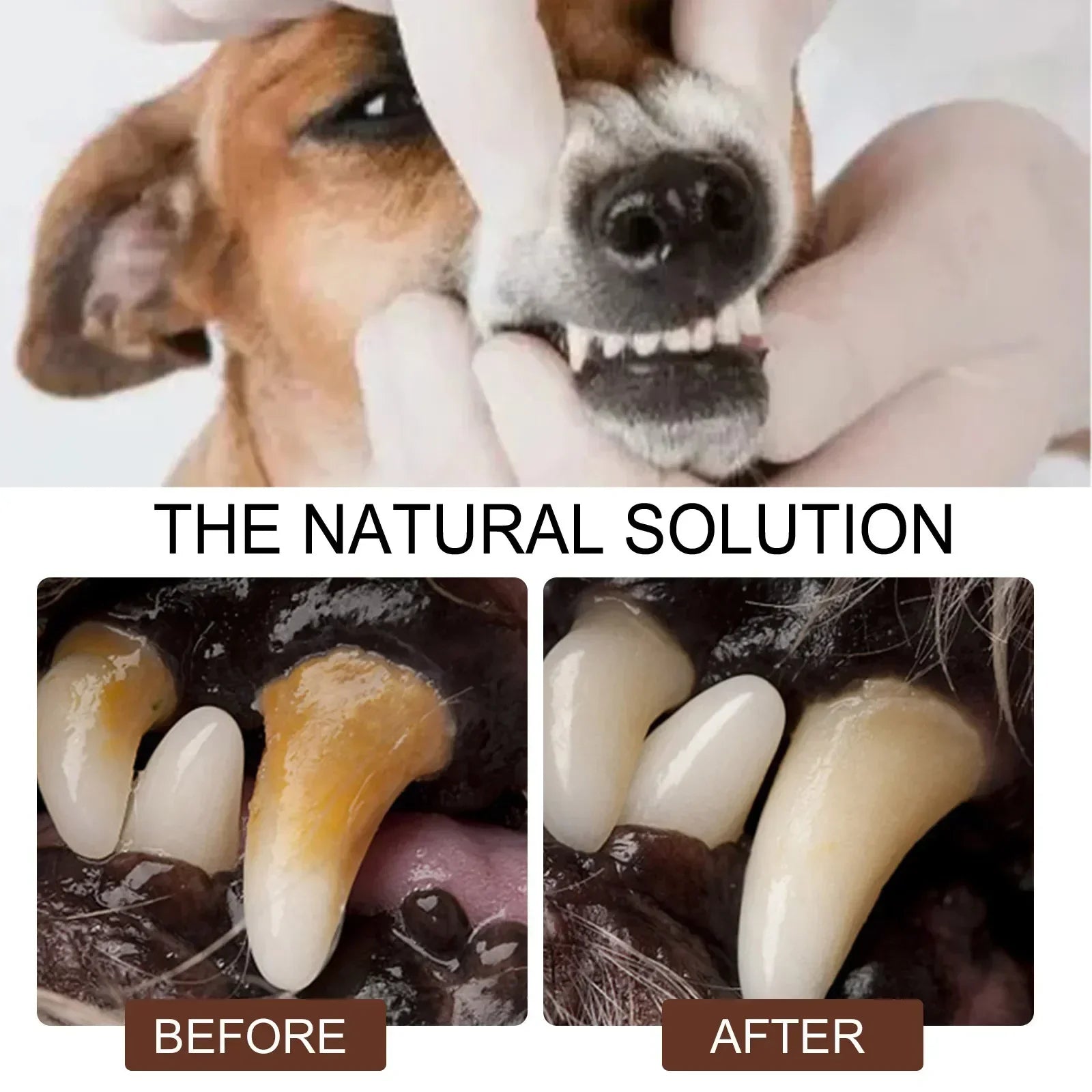 Pet Tooth Cleaner