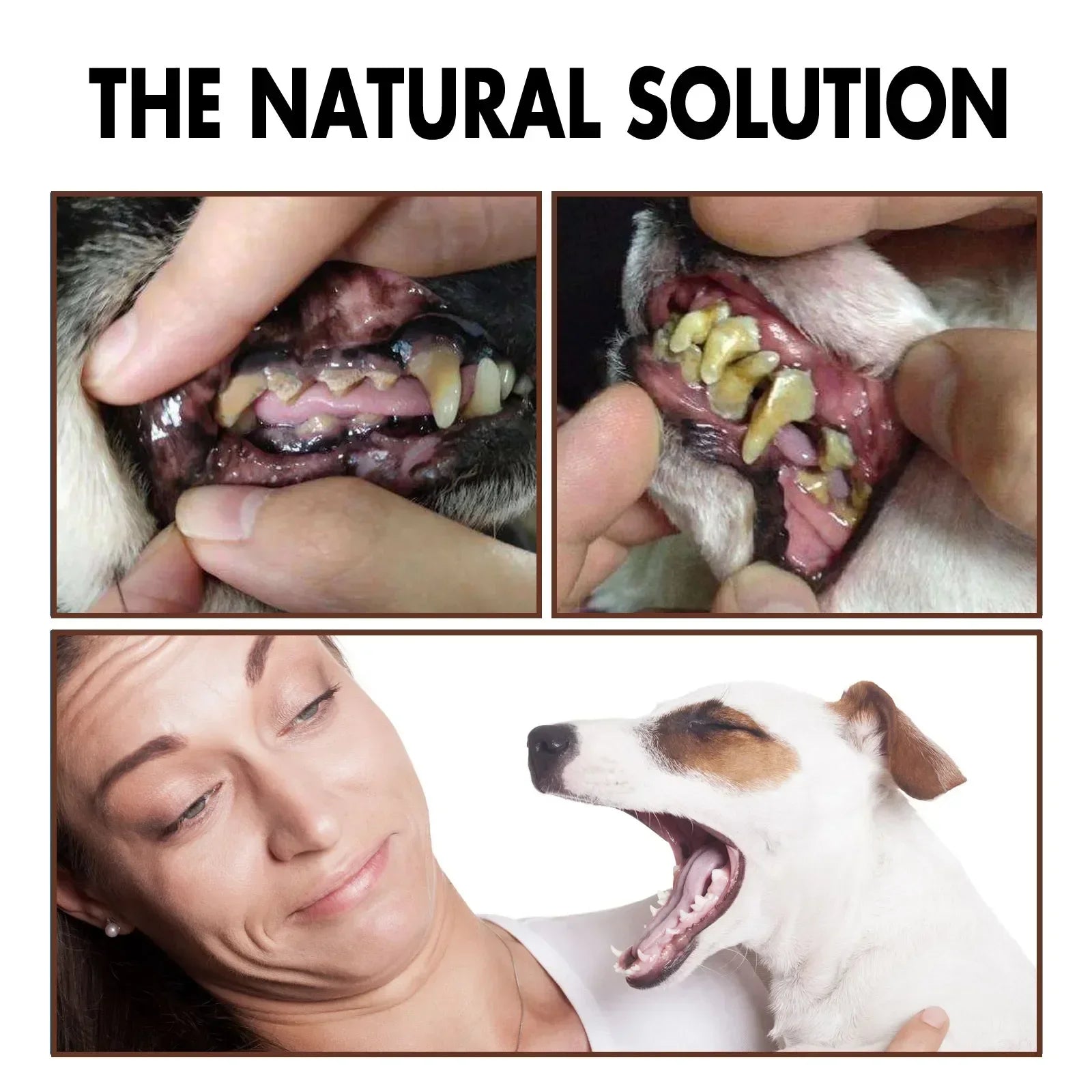 Pet Tooth Cleaner
