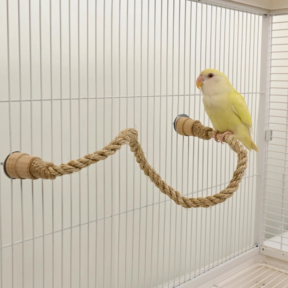 Bird Climbing Rope
