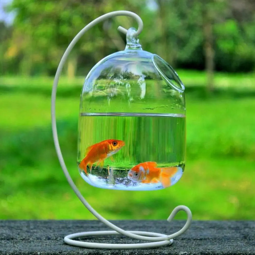 Hanging Glass Aquarium