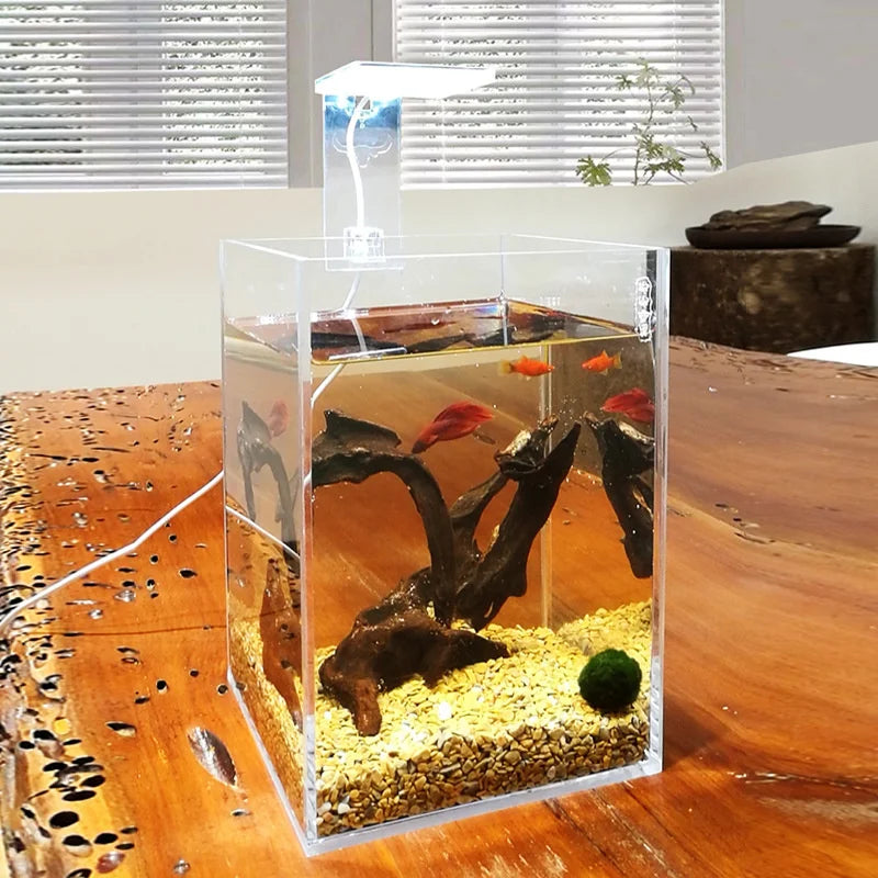 Acrylic Fish Tank
