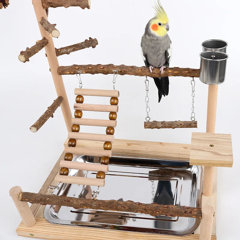 Wood Parrot Platform