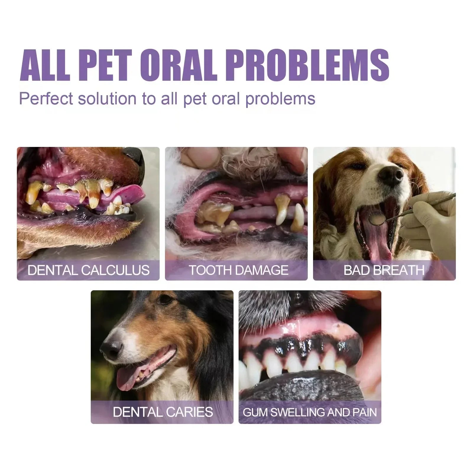 Pet teeth cleaner