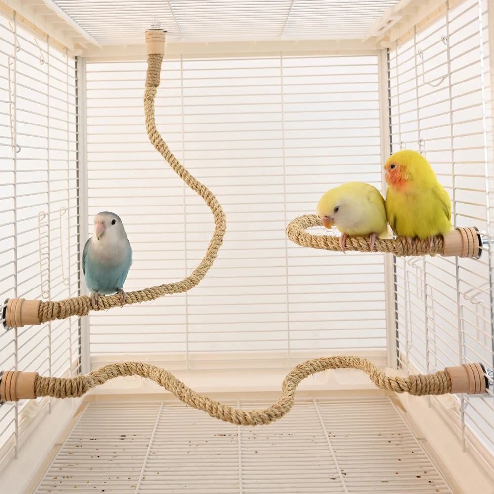 Bird Climbing Rope