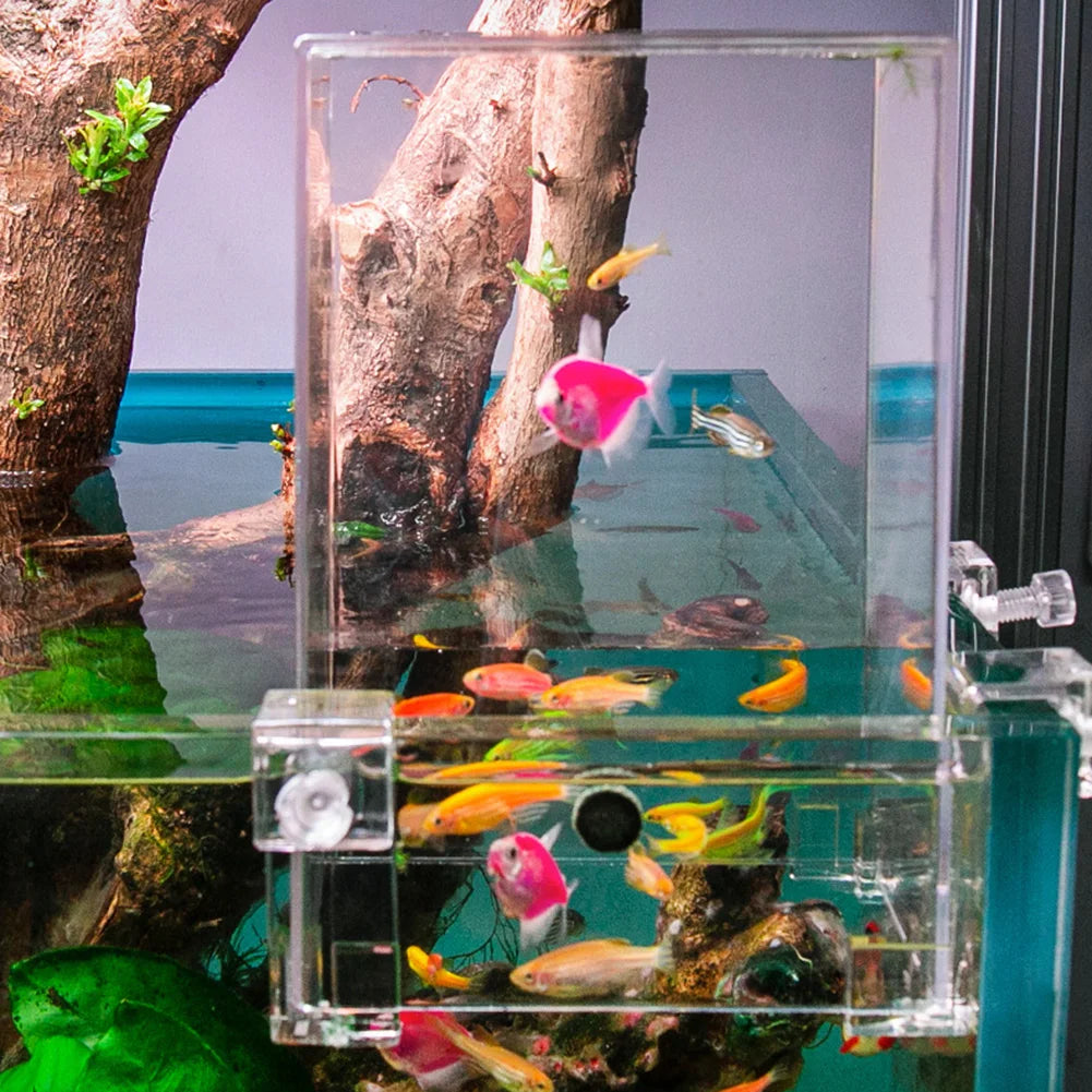 Aerial Aquarium Extender