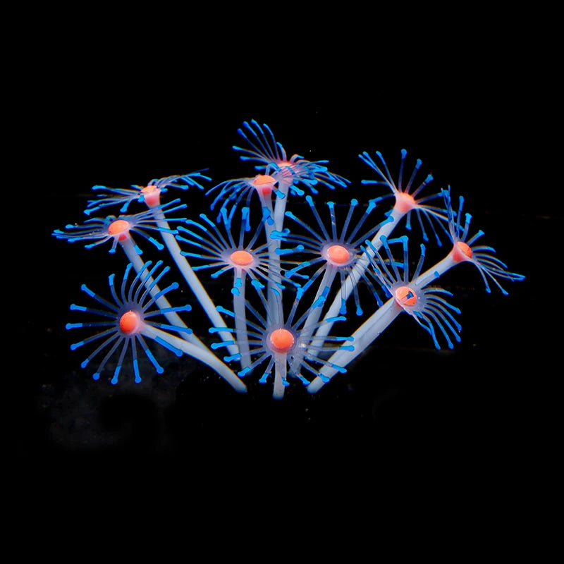 Simulation Coral Fish