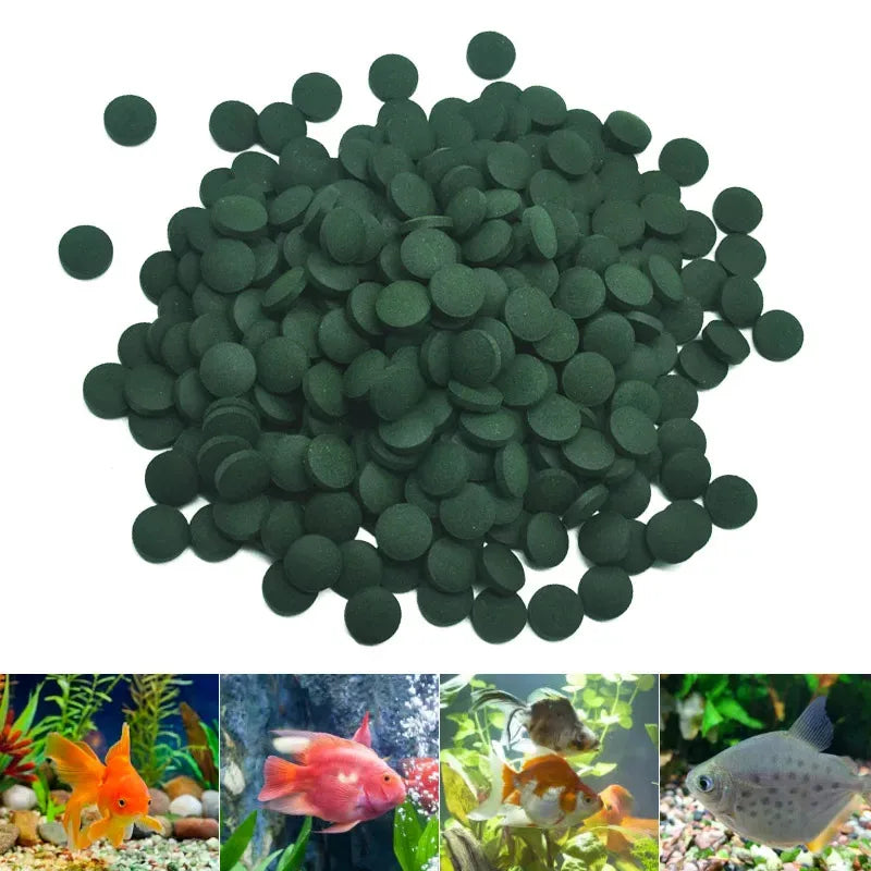 High Purity Spirulina