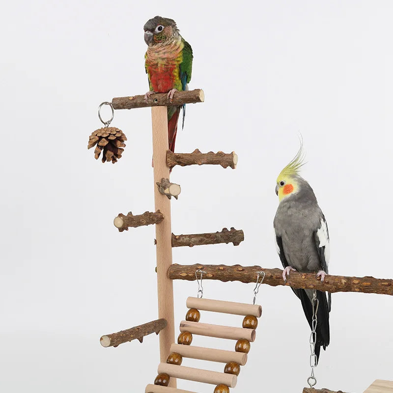 Wood Parrot Platform