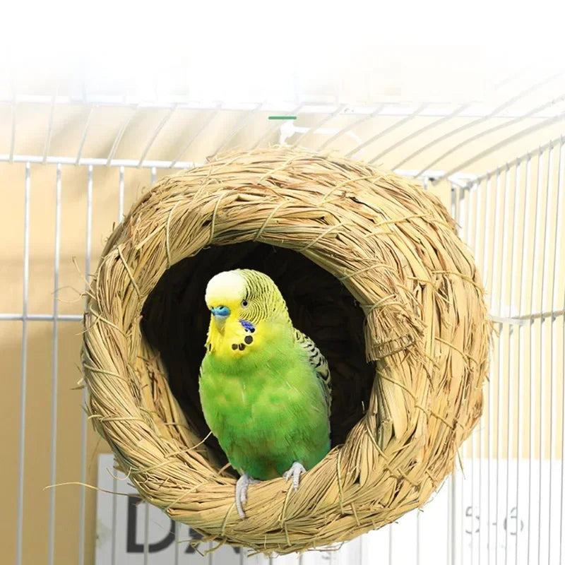 Parakeet Bed Bird